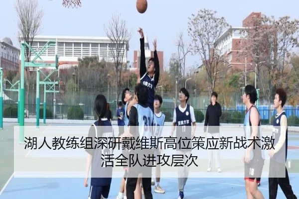 湖人教练组深研戴维斯高位策应新战术激活全队进攻层次